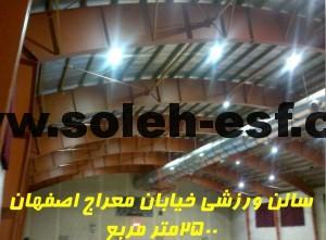 دیواره سالن ها سینوسی
