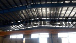 اسکلت
